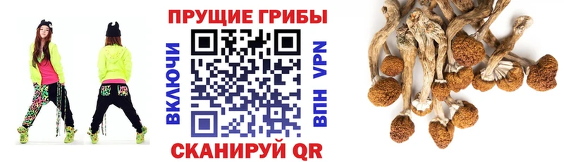 blacksprut зеркало  наркотики  Сергач  Псилоцибиновые грибы мухоморы 